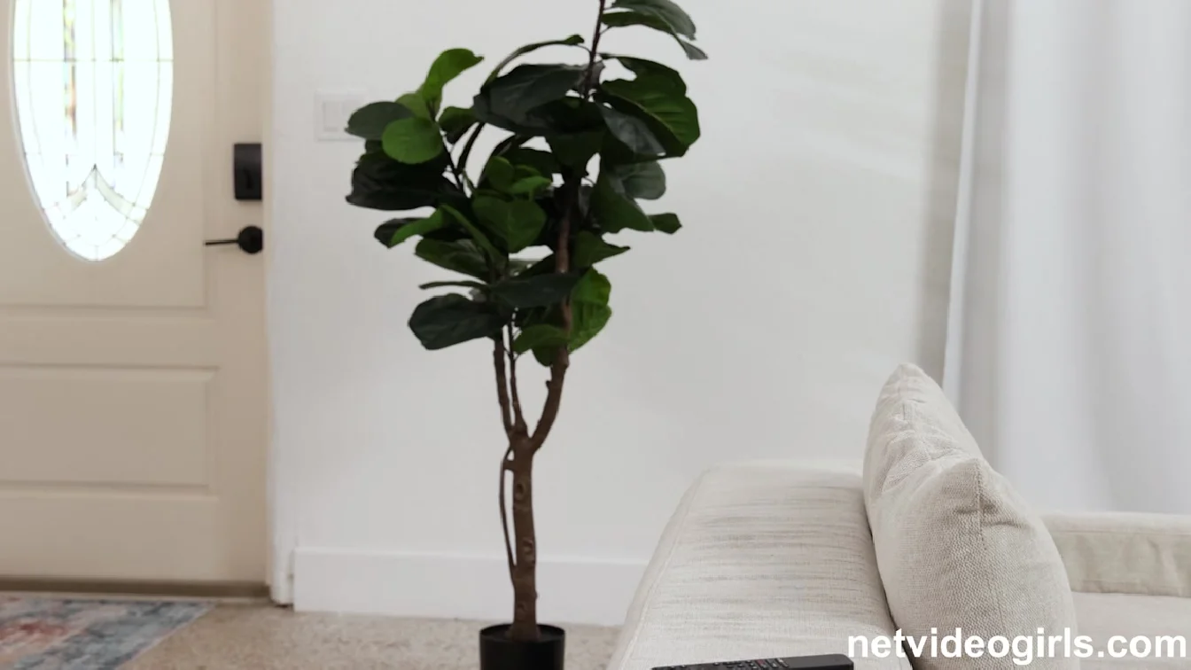 Preview of NetVideoGirls Lily XXX